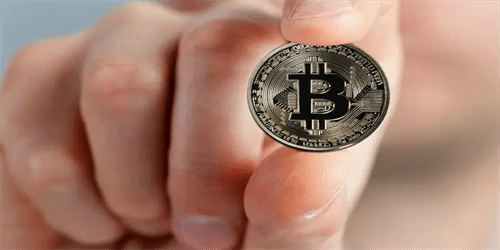 艾达币交易平台官网下载|艾达币ADA交易平台合集-第1张图片-芝麻交易所下载